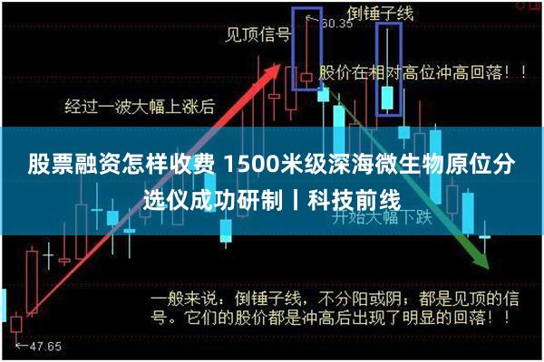 股票融资怎样收费 1500米级深海微生物原位分选仪成功研制丨科技前线