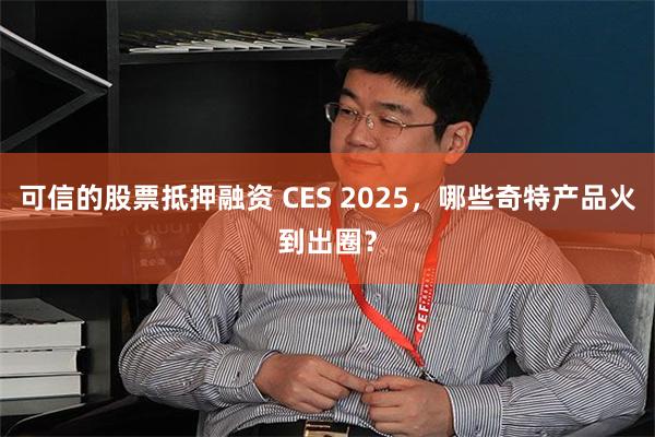 可信的股票抵押融资 CES 2025，哪些奇特产品火到出圈？